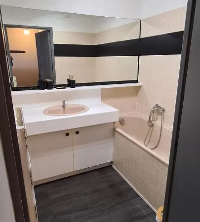 Splendid Studio With Balcony And Swimming Pool Appartement
